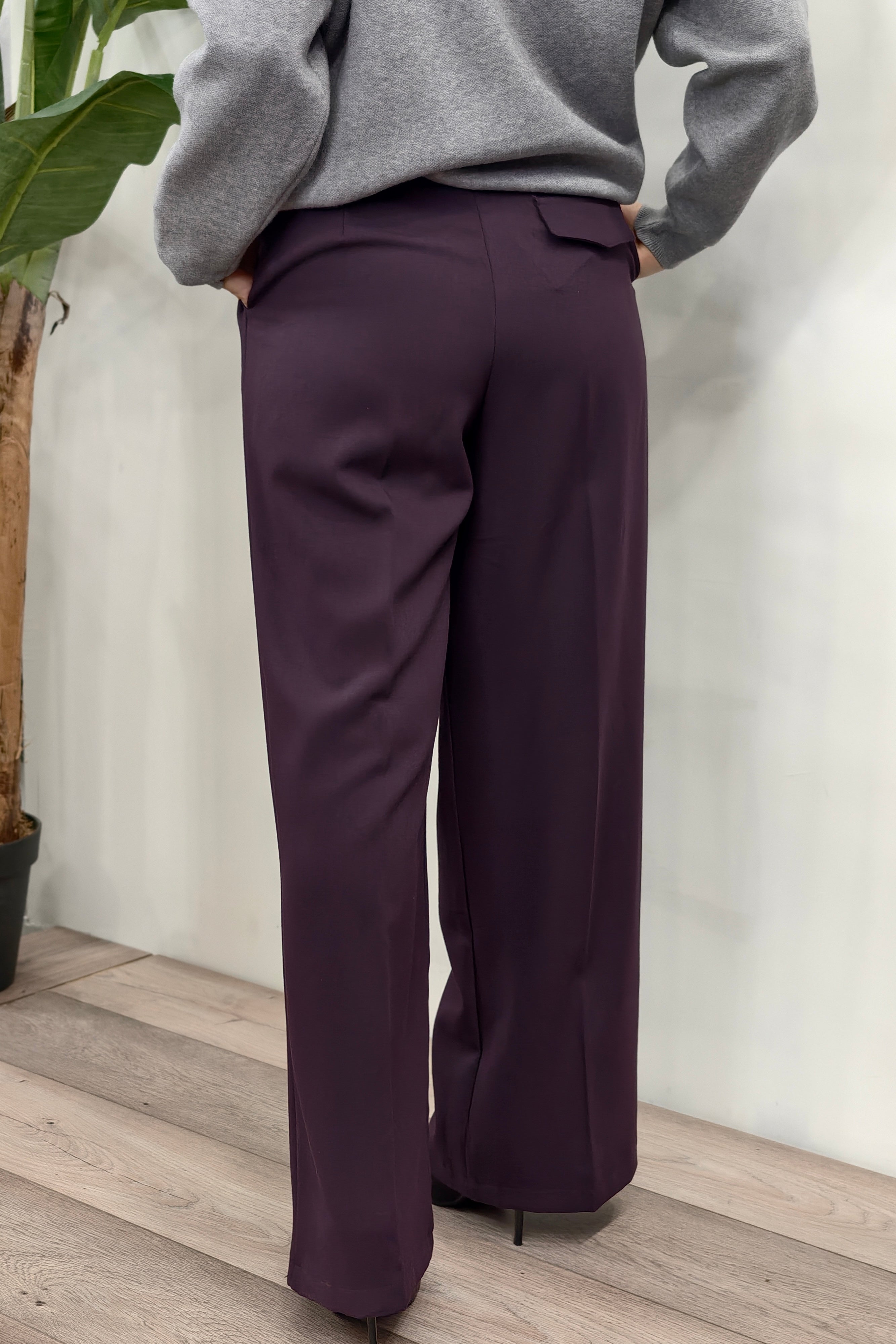 Pantalone Paris Prugna